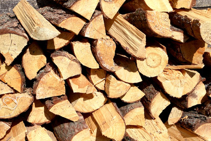 Brennholzverarbeitung: Innovatives Kappsägenprinzip